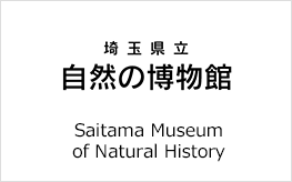 埼玉県立自然の博物館