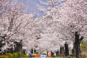 Kitazakura Street