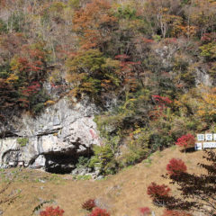 Kaniwa Cave (including Kaniwa Limestone Cave)