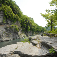 Iwadatami and Chichibu Red Cliff