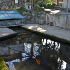 Miyaji Low Terraces and Myoken Seven Wells