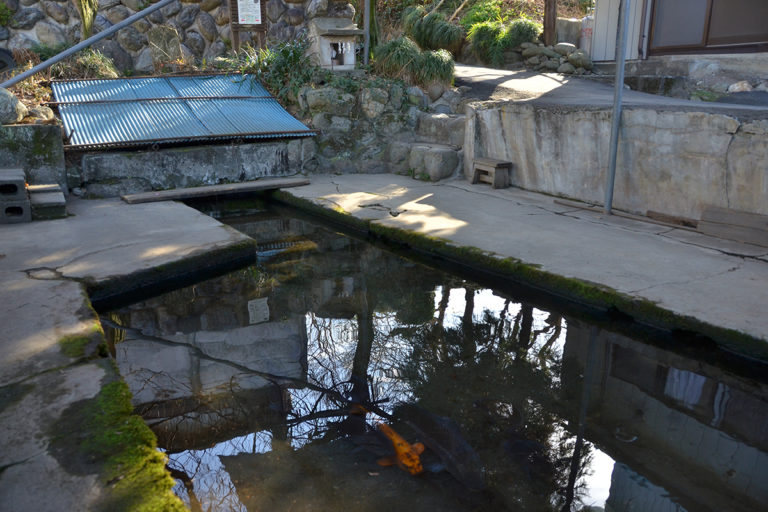 Miyaji Low Terraces and Myoken Seven Wells