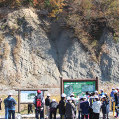 Large Outcrop of Torikata