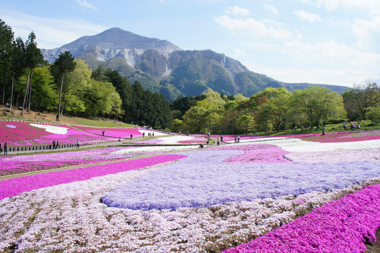 Hitsujiyama Park (Middle Terrace)