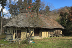 Uchida Family House