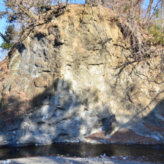 Conglomerate Outcrop under Arata Bridge