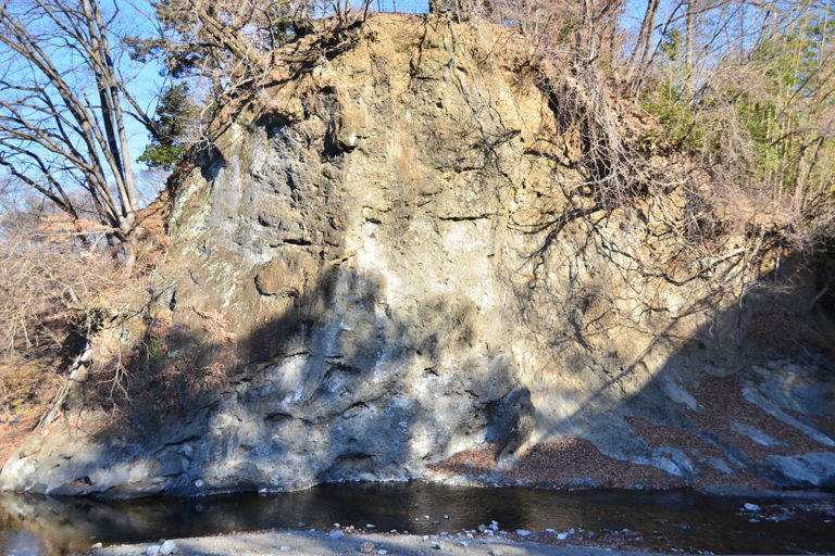 Conglomerate Outcrop under Arata Bridge