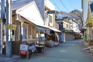 Nagatoro Iwadatami Street Shopping District