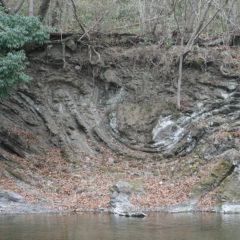 Sea Floor Landslide Remains of Toroku