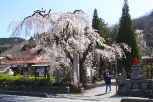 Hozen-ji Temple