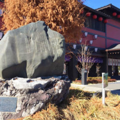 Remains of Chichibu Nouko Koto Gakko (Seibu-Chichibu Station)