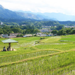 Terasaka Rice Terrace and Terasaka Ruins