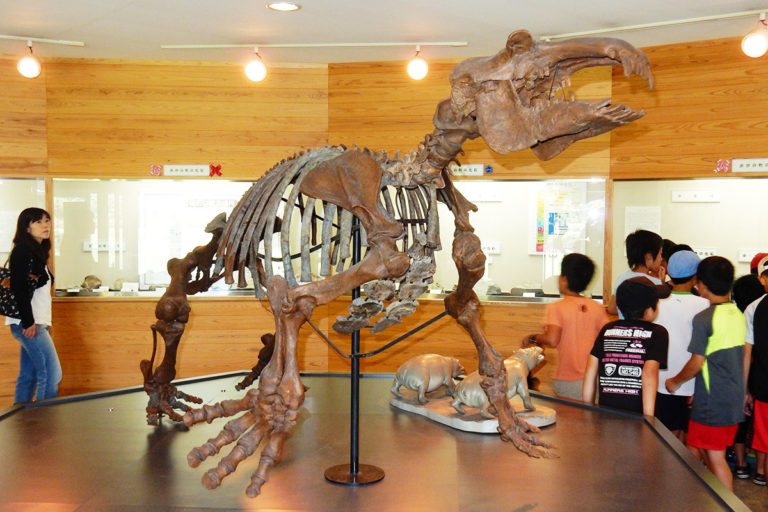 Fossil Museum of Ogano