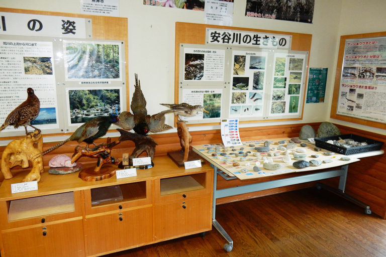 Yamazato Nature Museum (Roadside Station Arakawa)