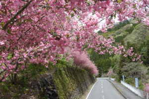 Yoshida Kaido Road