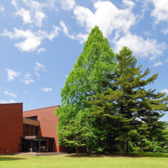 Saitama Museum of Natural History