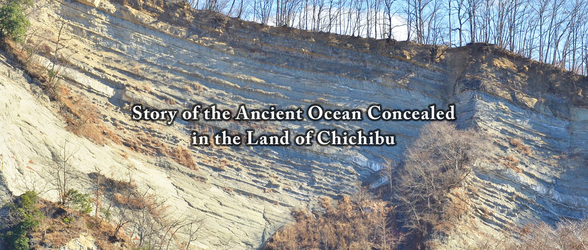 Story of the Ancient Ocean Concealed in the Land of Chichibu
