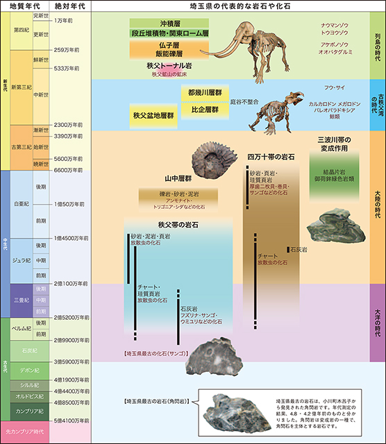 地質年表（資料提供：埼玉県立自然の博物館）