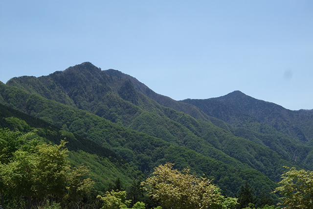 秩父帯の山々（白岩山と雲取山）