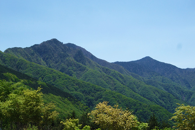 三峰駐車場から白岩山と雲取山を望む