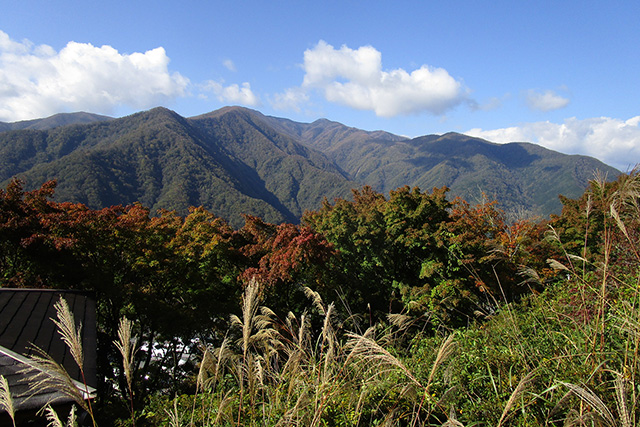三峰駐車場から和名倉山（白石山）を望む