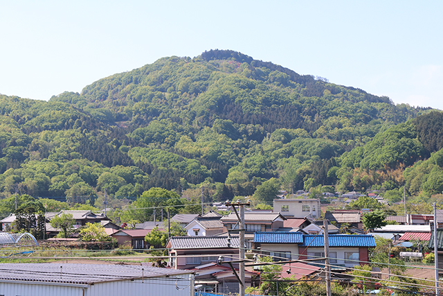 宝登山を望む