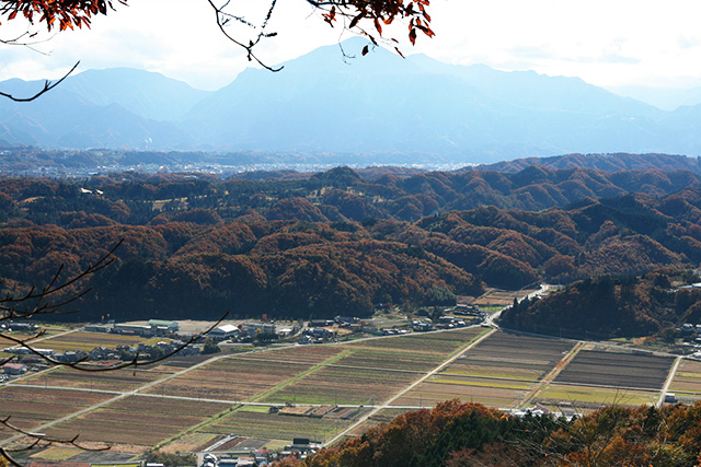 秩父の米どころ（秩父市蒔田・太田周辺）