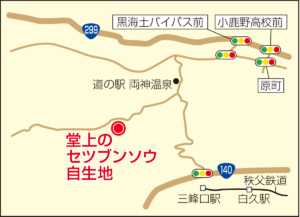 堂上のセツブンソウ自生地