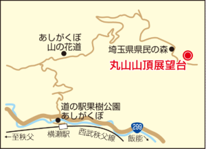 C03_丸山山頂展望台