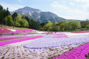 羊山公園