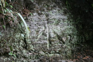 「水」寛保の洪水位磨崖標