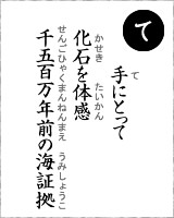 「て」・・・手にとって化石を体感　1500万年前の海証拠