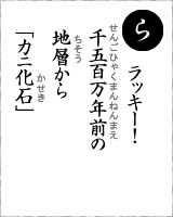 「ら」・・・ラッキー！１５００万年前の地層から「カニ化石」