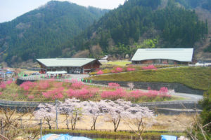 吉田元気村