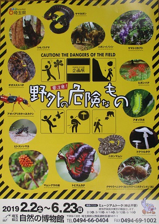 企画展「要注意！野外の危険なもの」開催中！