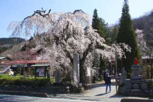 法善寺